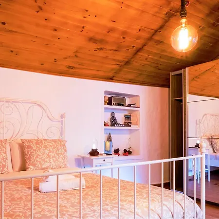 Live Buenavista El Palmar Buenavista Del Norte