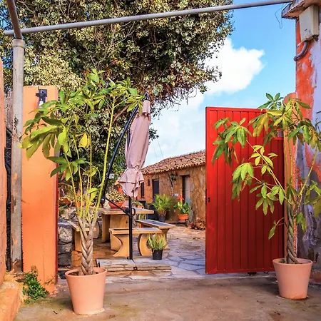 Live Buenavista El Palmar *