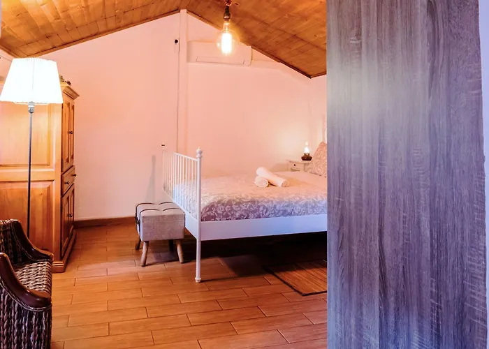 Live Buenavista El Palmar Buenavista Del Norte