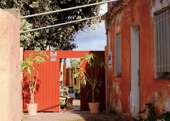 Live Buenavista El Palmar * Buenavista Del Norte