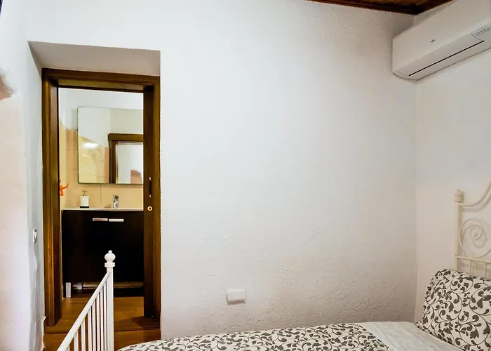 Live Buenavista El Palmar