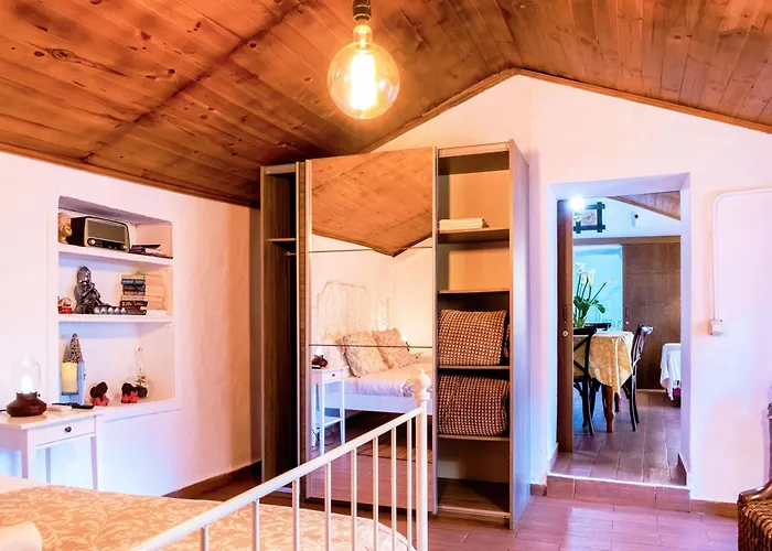 Live Buenavista El Palmar * Buenavista Del Norte