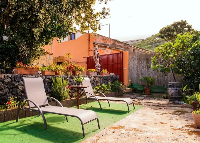 Live Buenavista El Palmar Buenavista Del Norte