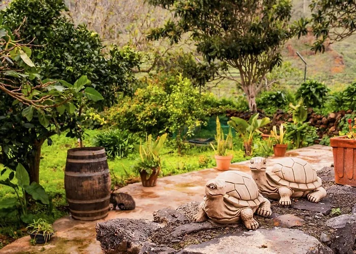 Hébergement de vacances Live Buenavista El Palmar Buenavista Del Norte