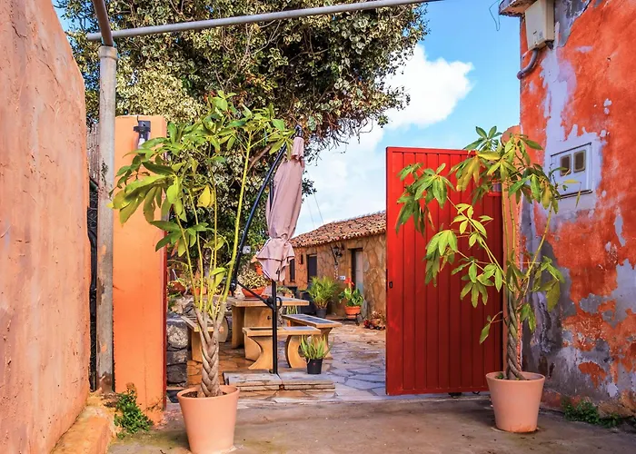 Live Buenavista El Palmar *