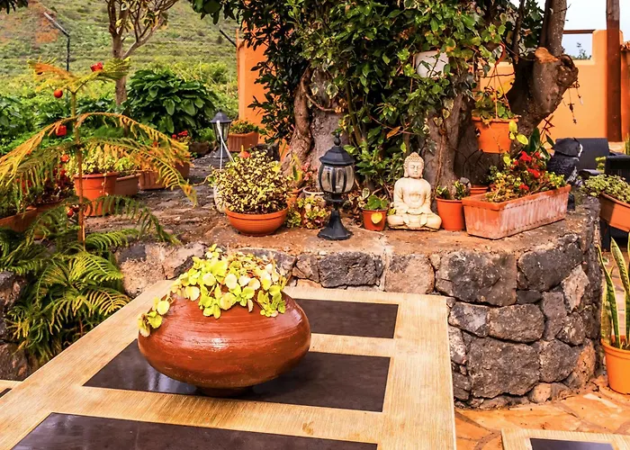 Live Buenavista El Palmar Buenavista Del Norte