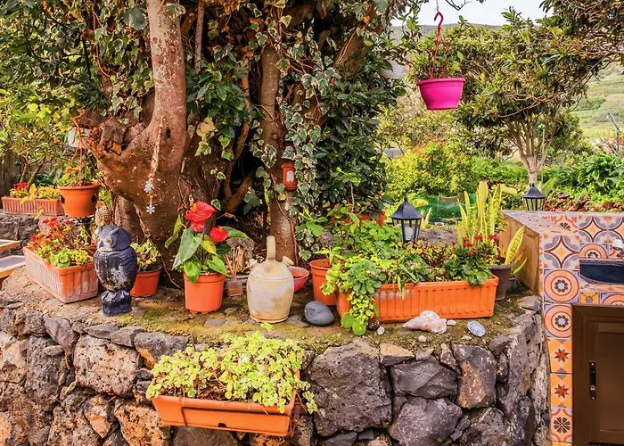 Hébergement de vacances Live Buenavista El Palmar *